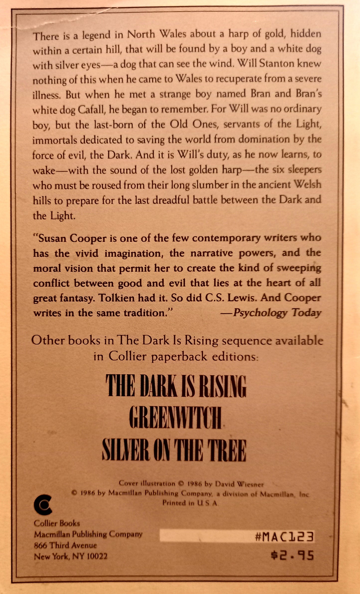 The Grey King by Susan Cooper