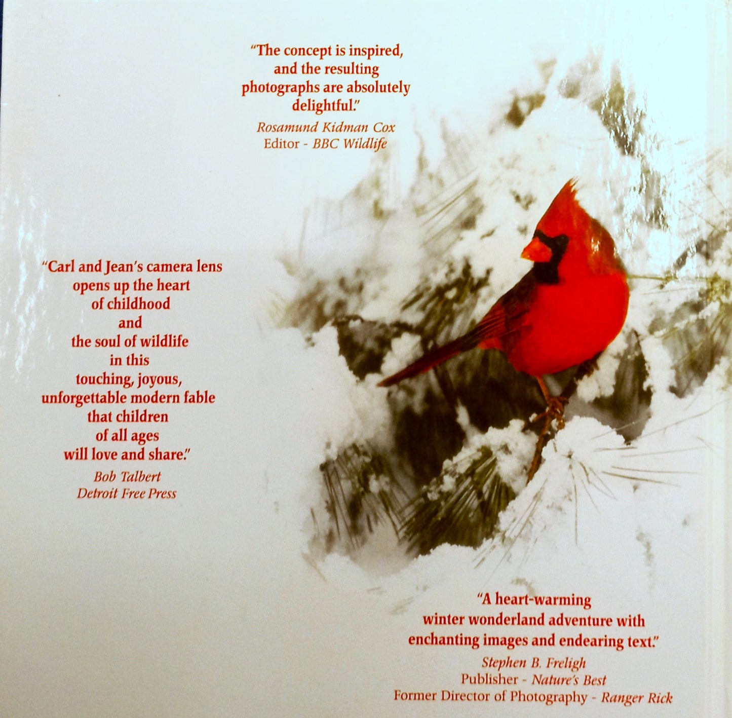 Stranger in the Woods by Carl R. Sams & Jean Stoick