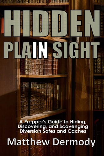 Hidden In Plain Sight by Matthew Dermody