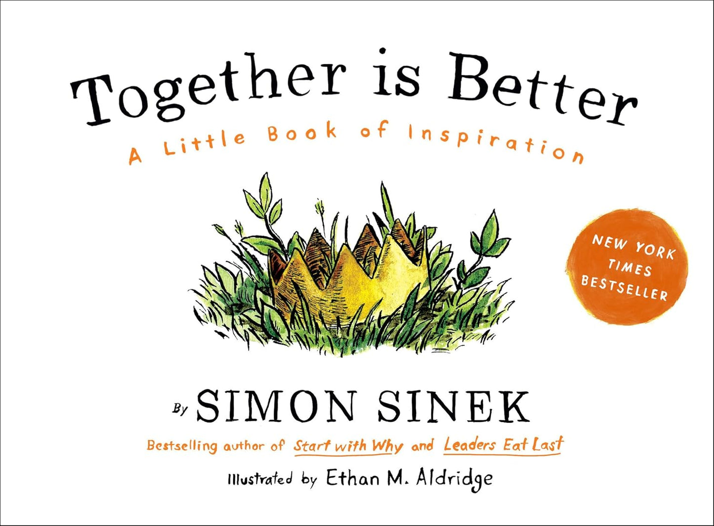 Together Is Better: A Little Book of Inspiration by Simon Sinek