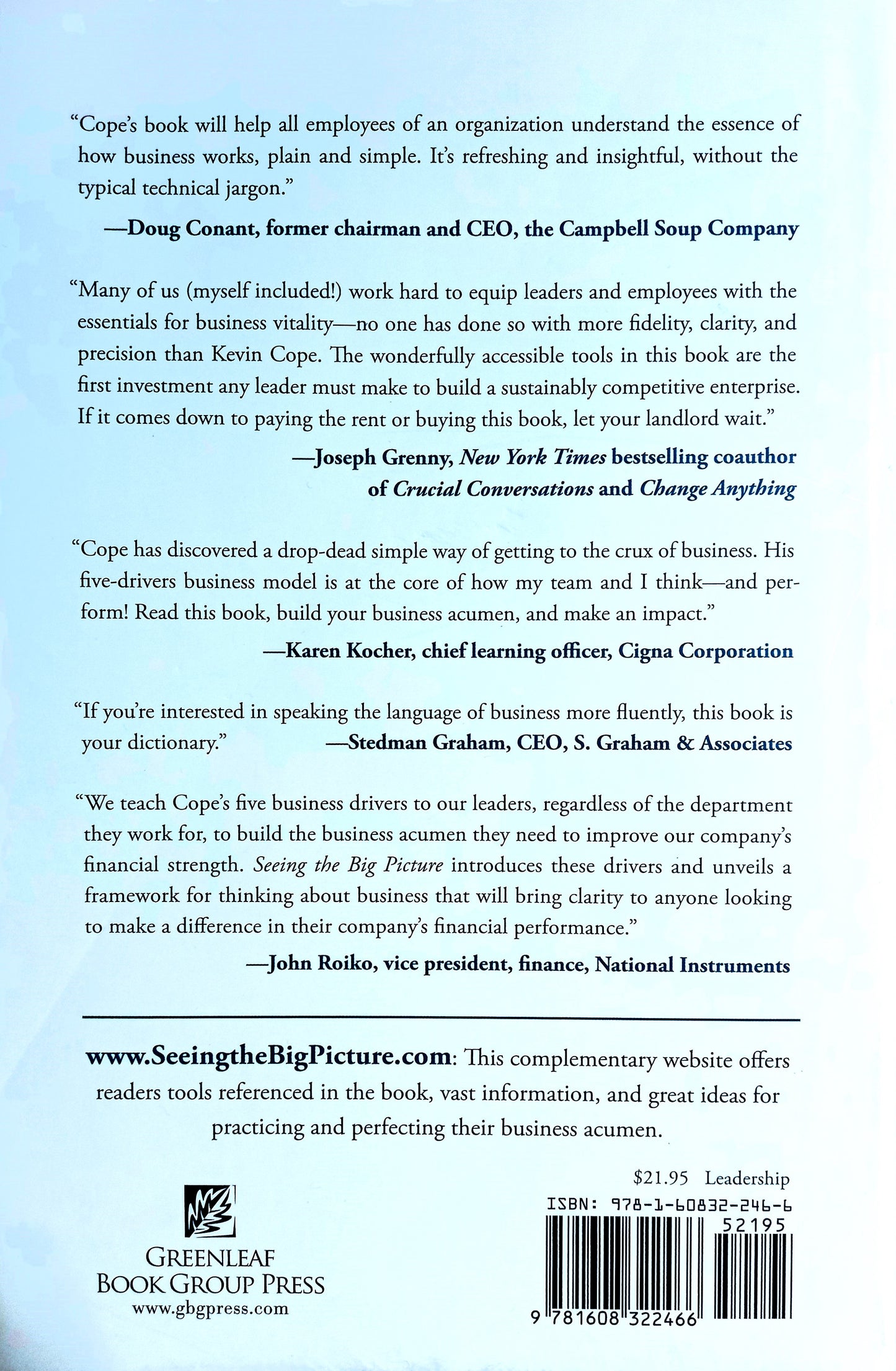 Back cover of Seeing the Big Picture: Business Acumen to Build Your Credibility, Career, and Company by Kevin Cope