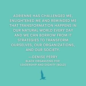 Emergent Strategy: Shaping Change, Changing Worlds by Adrienne Maree Brown