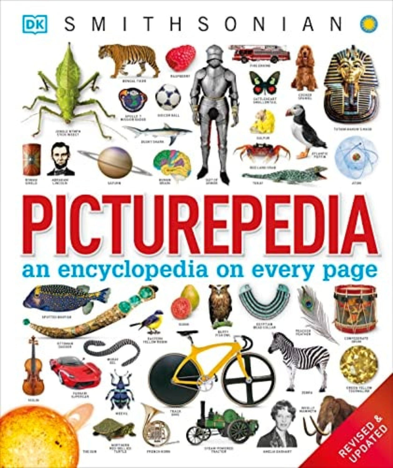 Cover of 'Picturepedia' by DK Smithsonian with various illustrations on a white background