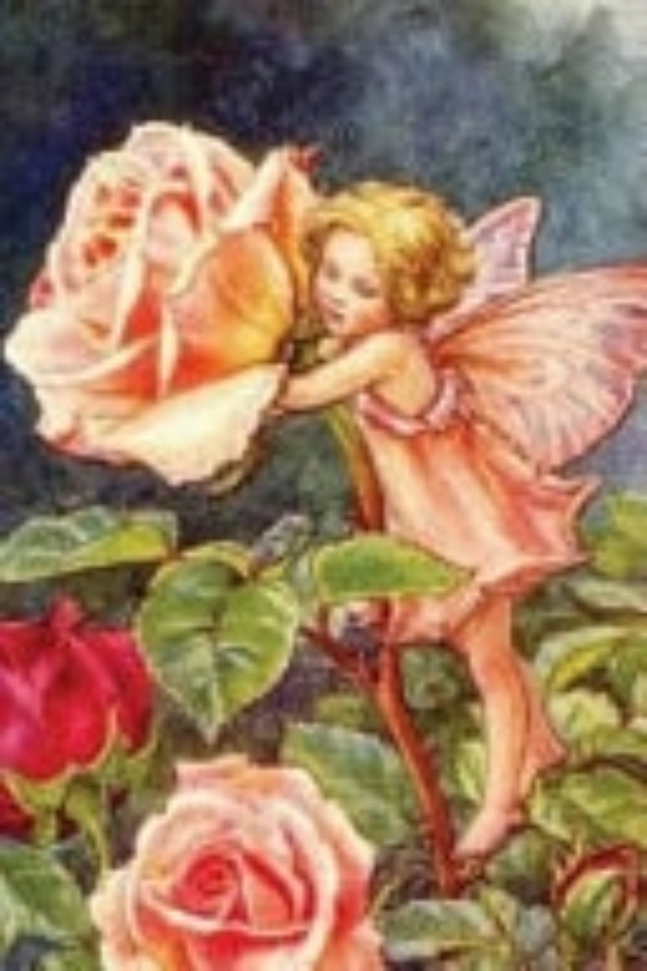 Fairy among roses with a colorful background