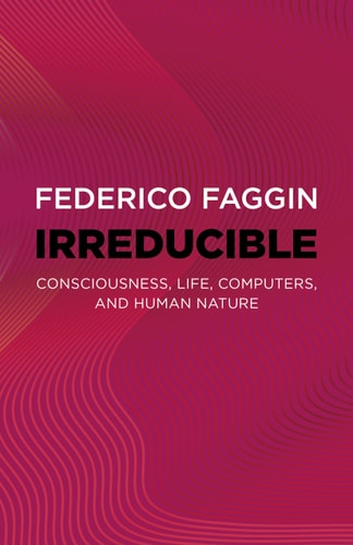 Irreducible by Federico Faggin