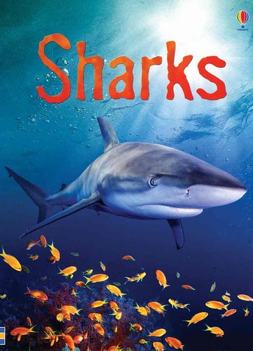 Sharks: An Usborne Beginner Book by Catriona Clarke