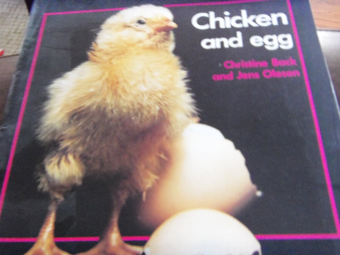 Book cover of 'Chicken and Egg' with a chick and egg on a black background