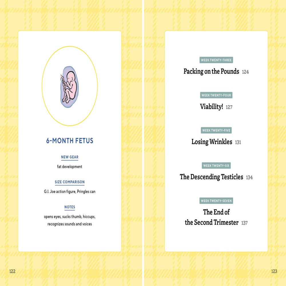 We're Pregnant!: The First Time Dad's Pregnancy Handbook (Everything You Need to Know for Your Partner and Baby)