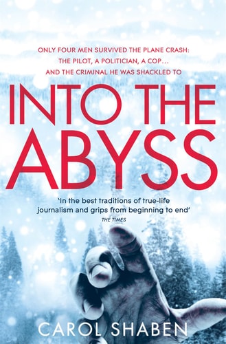 Book cover of 'Into the Abyss' with a panda and snowy background