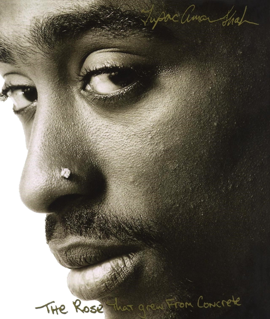 The Rose That Grew from Concrete: Poetry Collection by Tupac Shakur