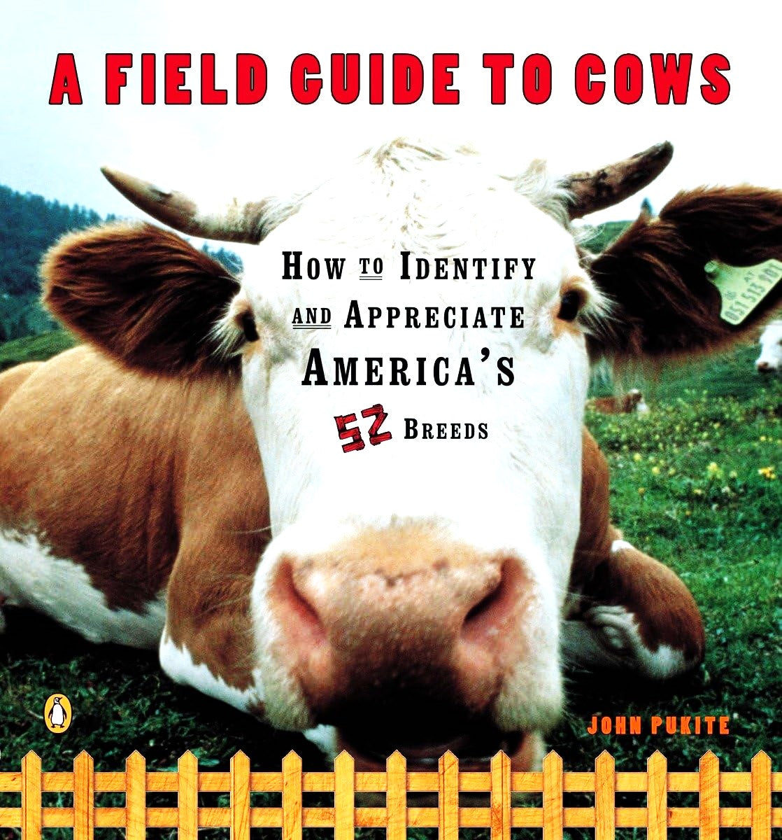 Front cover of A Field Guide to Cows: How to Identify and Appreciate America's 52 Breeds by John Pukite