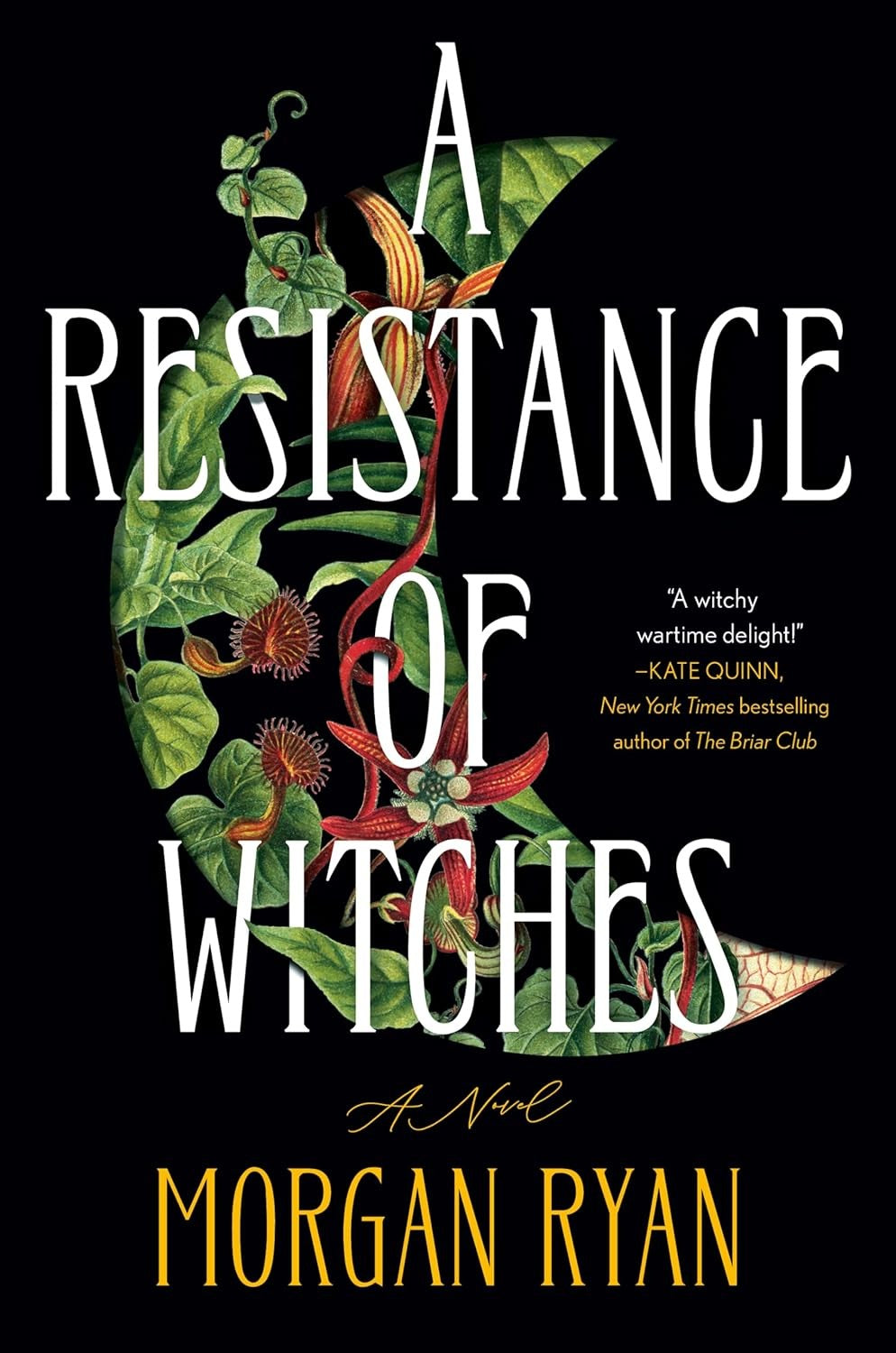 A Resistance of Witches by Morgan Ryan
