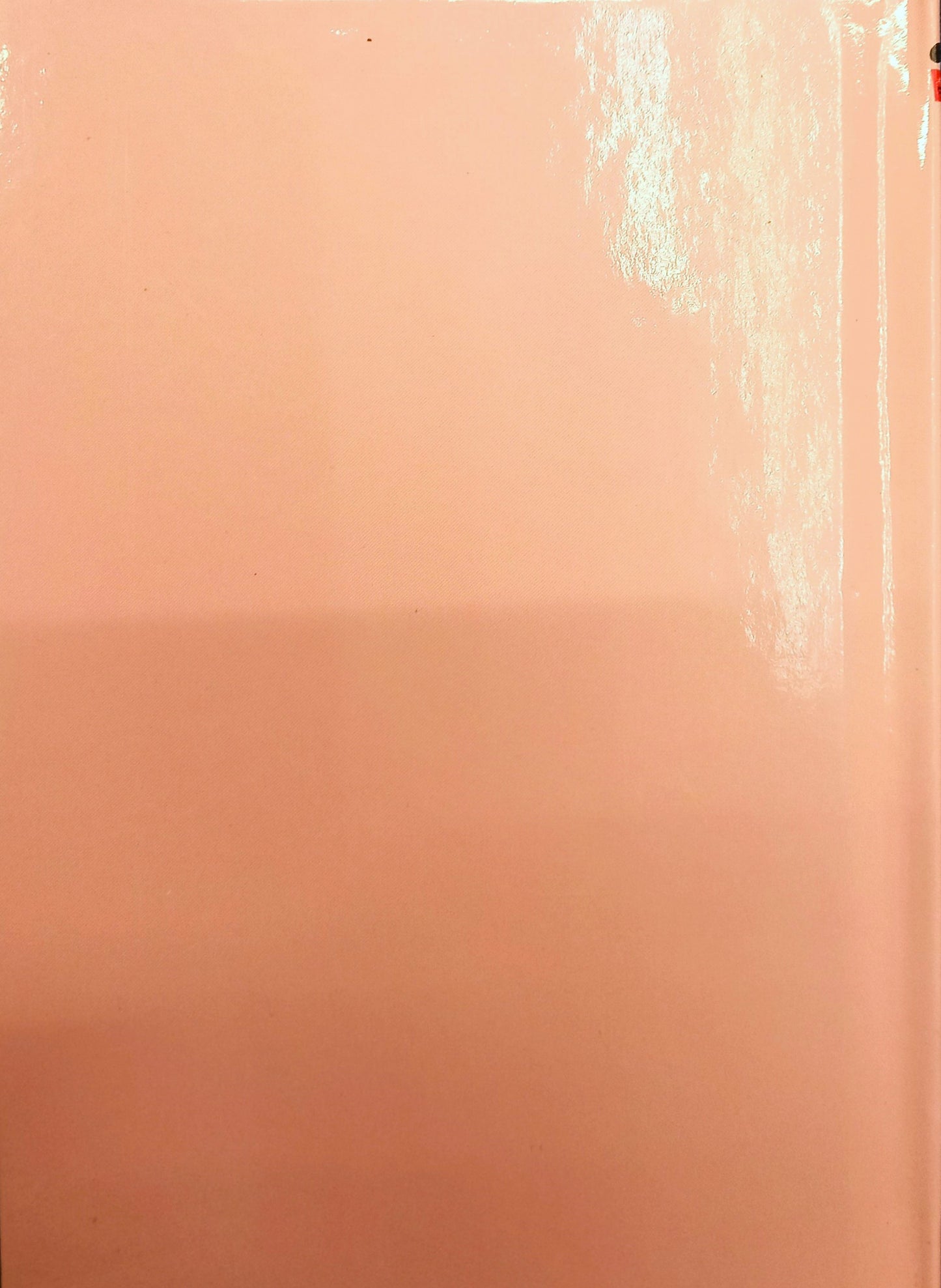 Disney's The Prince and the Pauper by Walt Disney Books