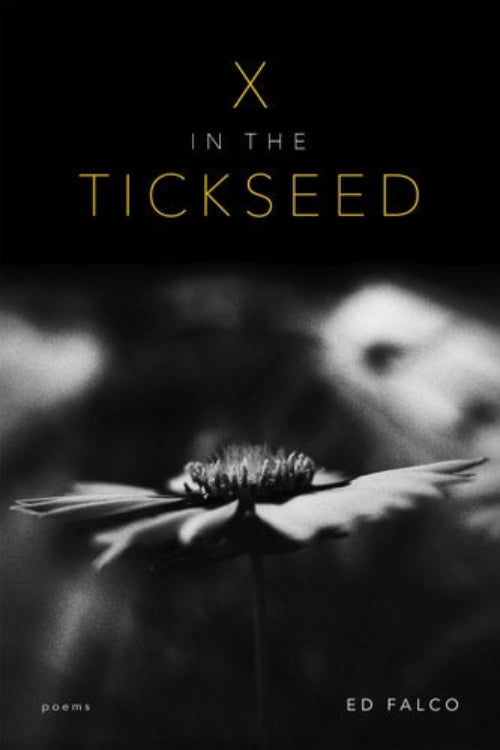Book cover for 'X in the Tickseed: Poems' by Ed Falco featuring a close-up black and white photograph of a flower.