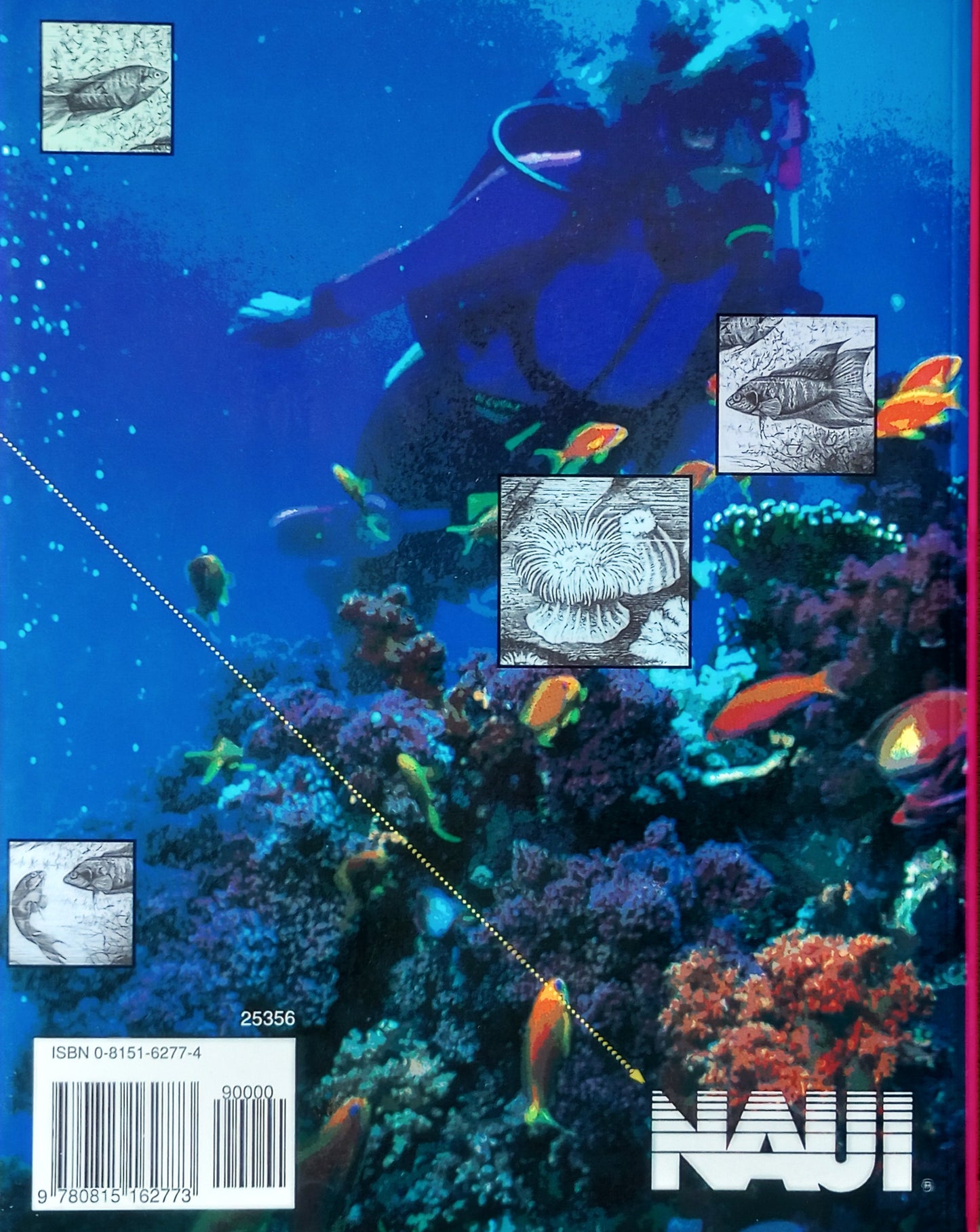 Adventures in Scuba Diving by NAUI