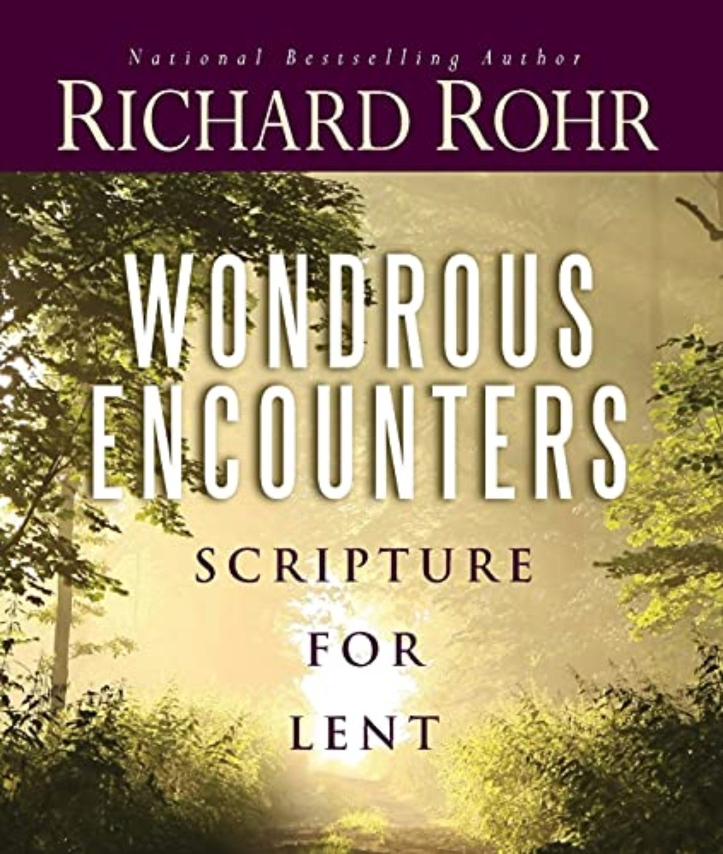 Cover of the book 'Wondrous Encounters' by Richard Rohr featuring a forest path with a bright light at the end.
