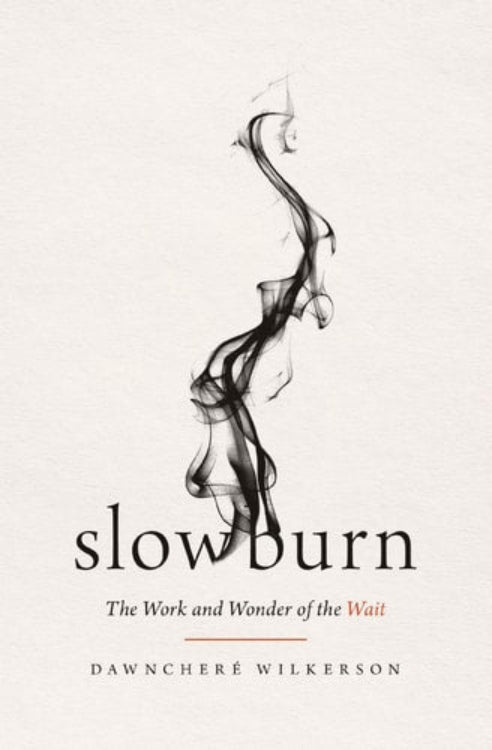 The cover of the book 'Slow Burn' by DawnChere Wilkerson features a design with smoke patterns against a white background.