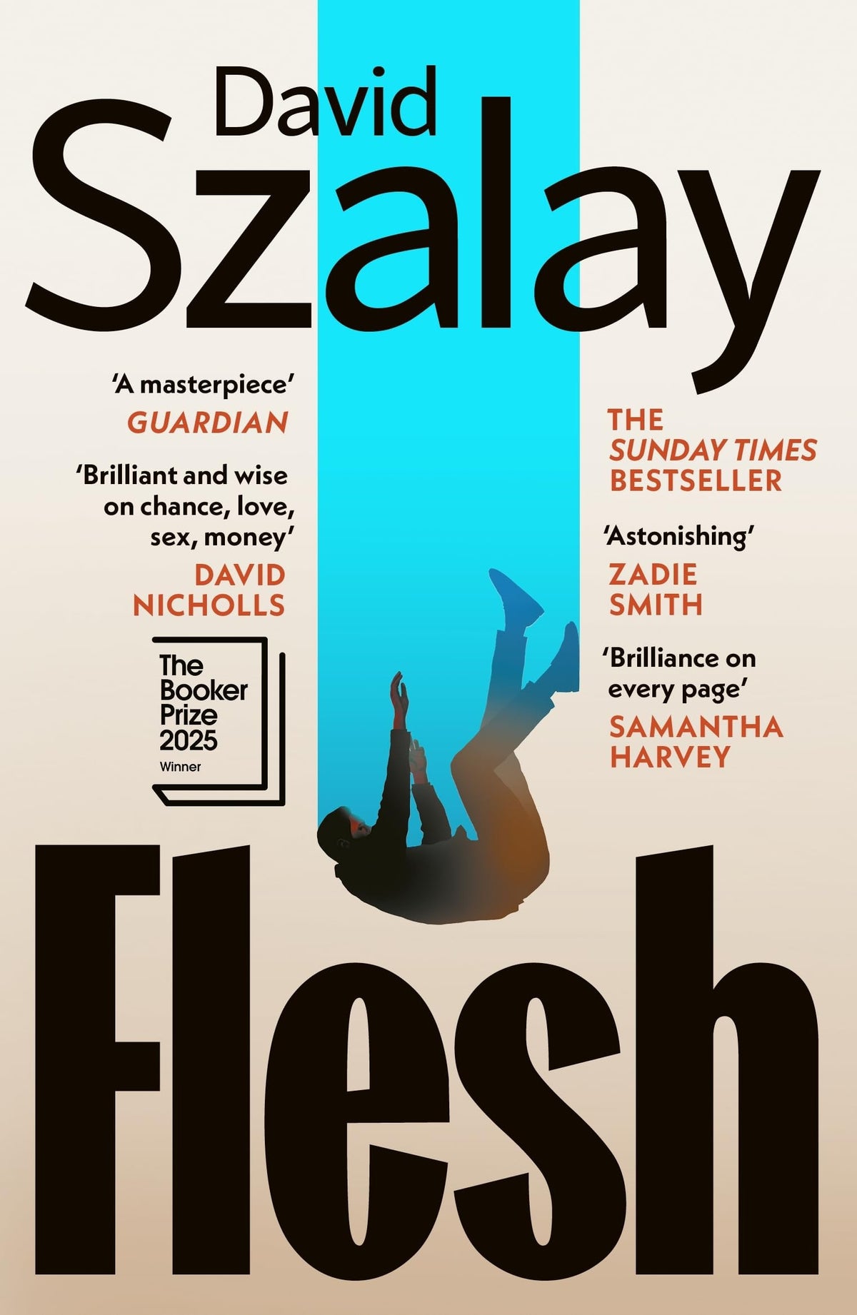 Book cover of 'Flesh' by David Szalay with text and silhouette design.