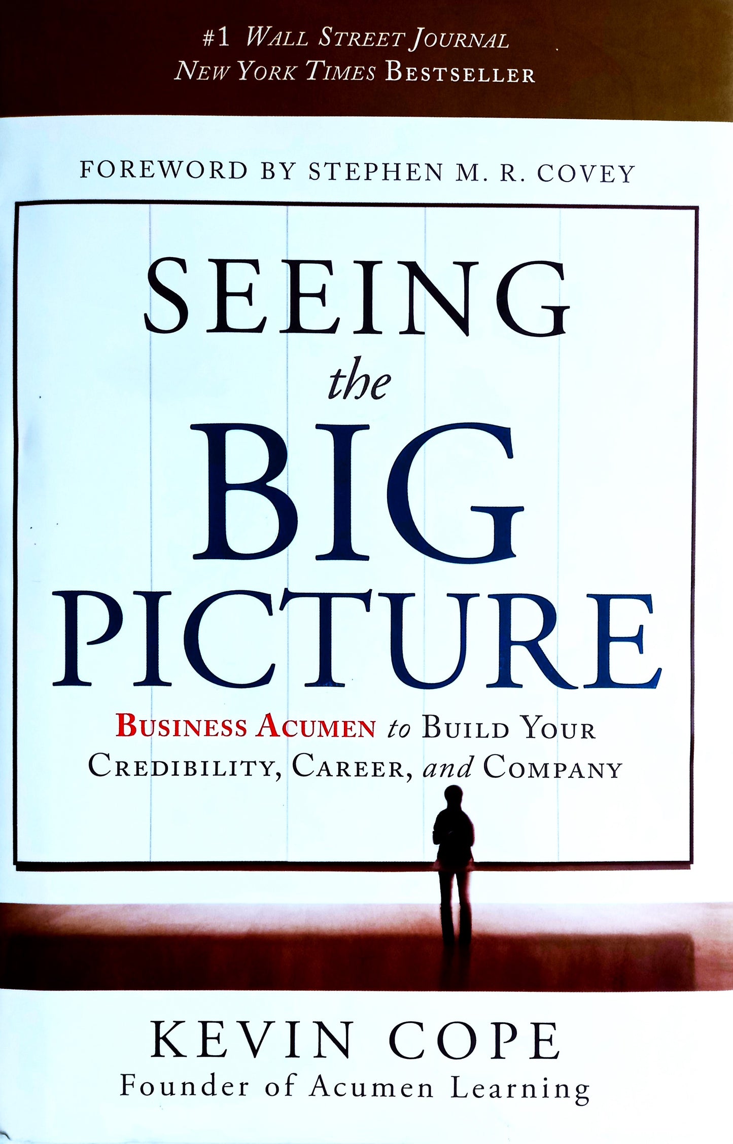 Book front cover of "Seeing the Big Picture: Business Acumen to Build Your Credibility, Career, and Company" by Kevin Cope, featuring a simplistic design of a persons silhouette sitting on a bench, with text showing the full book title, authors name, praise and accolades for the book and author.