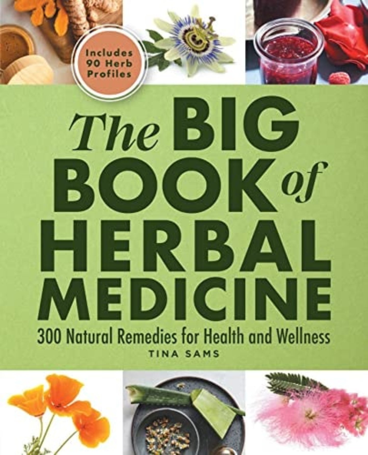 Book cover of 'The Big Book of Herbal Medicine' with images of herbs and a green background.