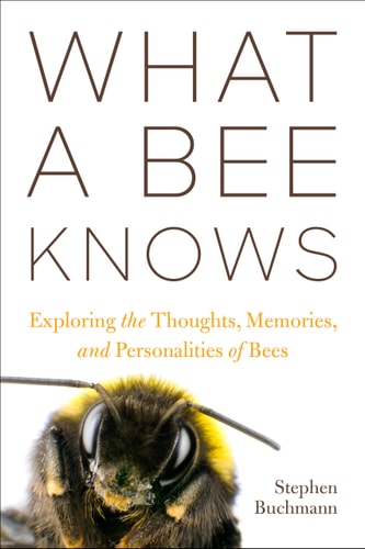 Book cover of 'What a Bee Knows: Exploring the Thoughts, Memories, and Personalities of Bees' by Stephen Buchmann, featuring an image of a bee.