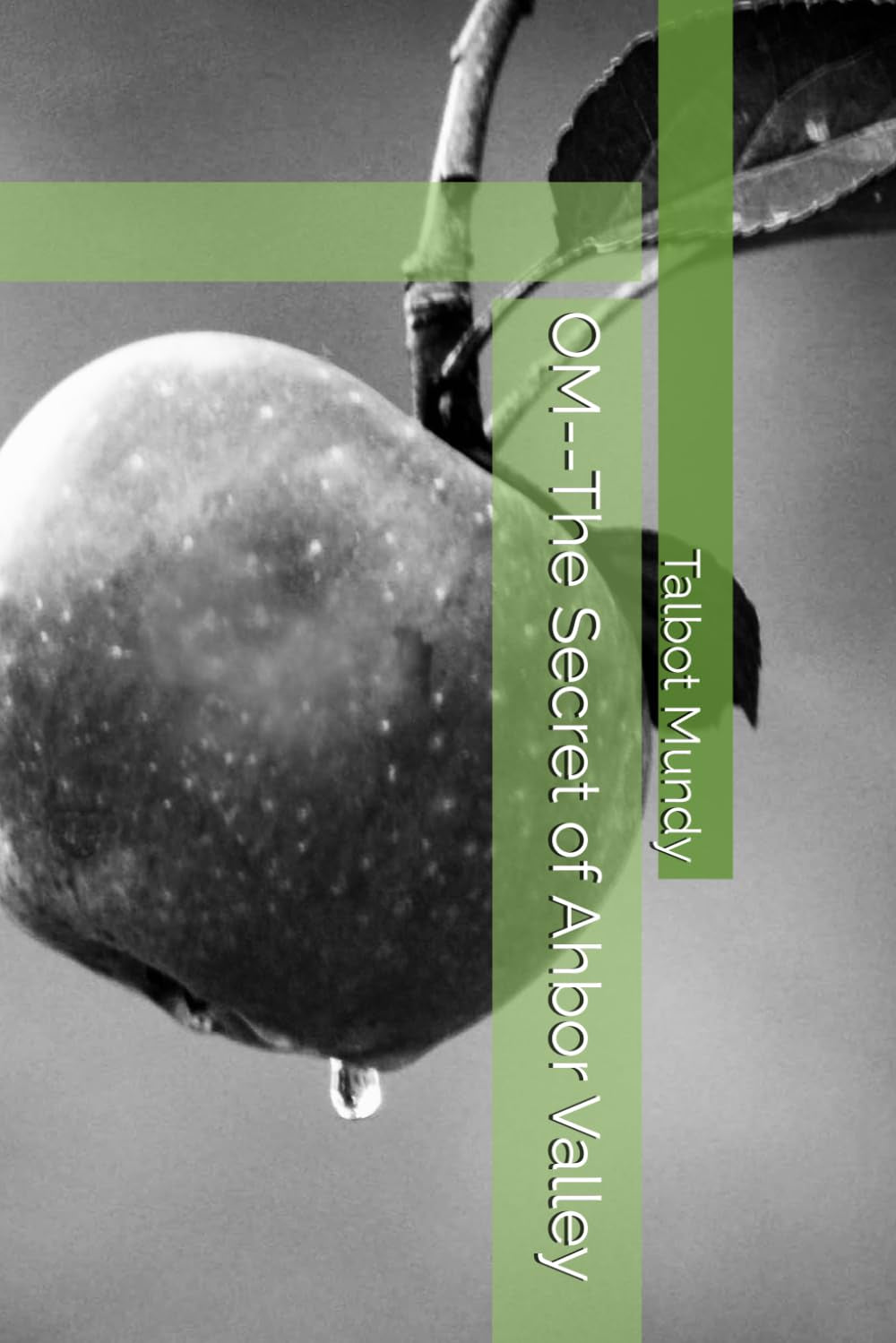 Book front cover of 'OM—The Secret of Ahbor Valley' by Talbot Mundy