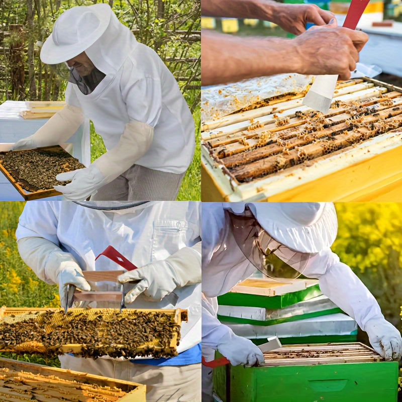 Collage of beekeeper activities including inspecting honeycomb frames and working with bee boxes.