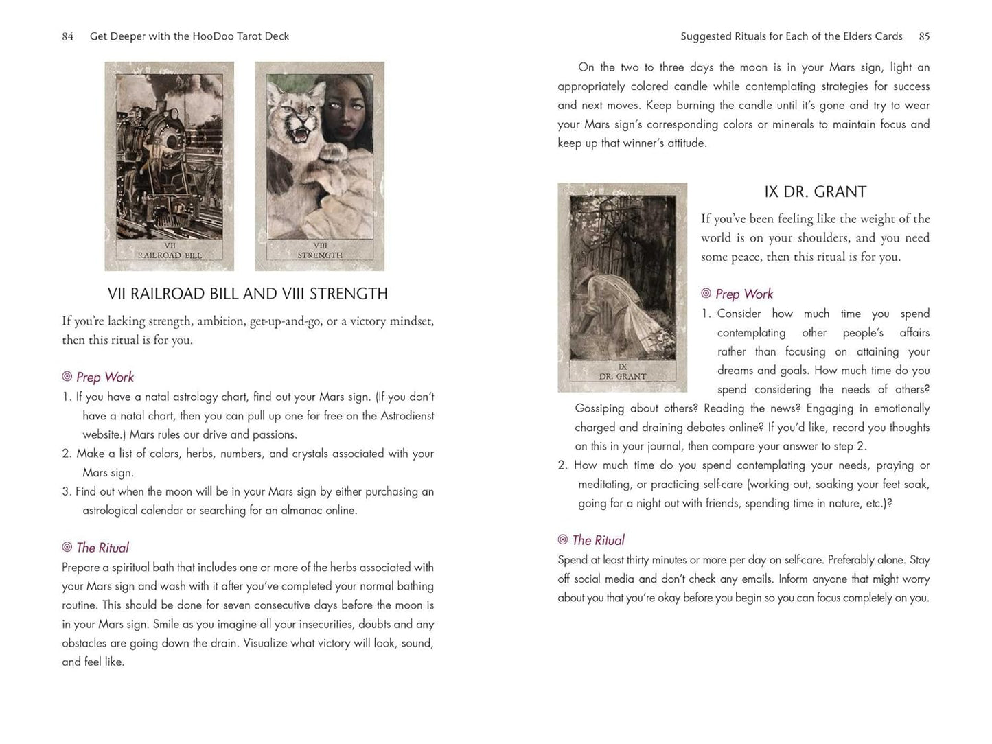 The Hoodoo Tarot Workbook by Tayannah Lee McQuillar