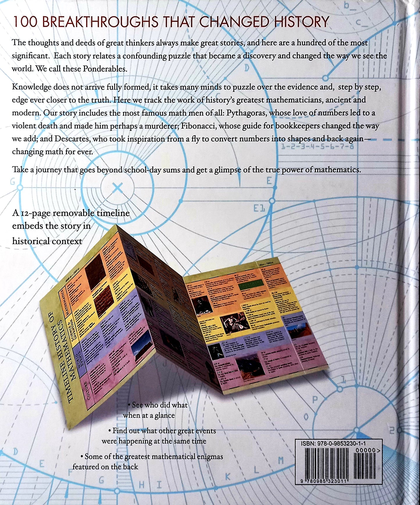 Back cover of Mathematics: An Illustrated History of Numbers by Tom Jackson – hardcover edition