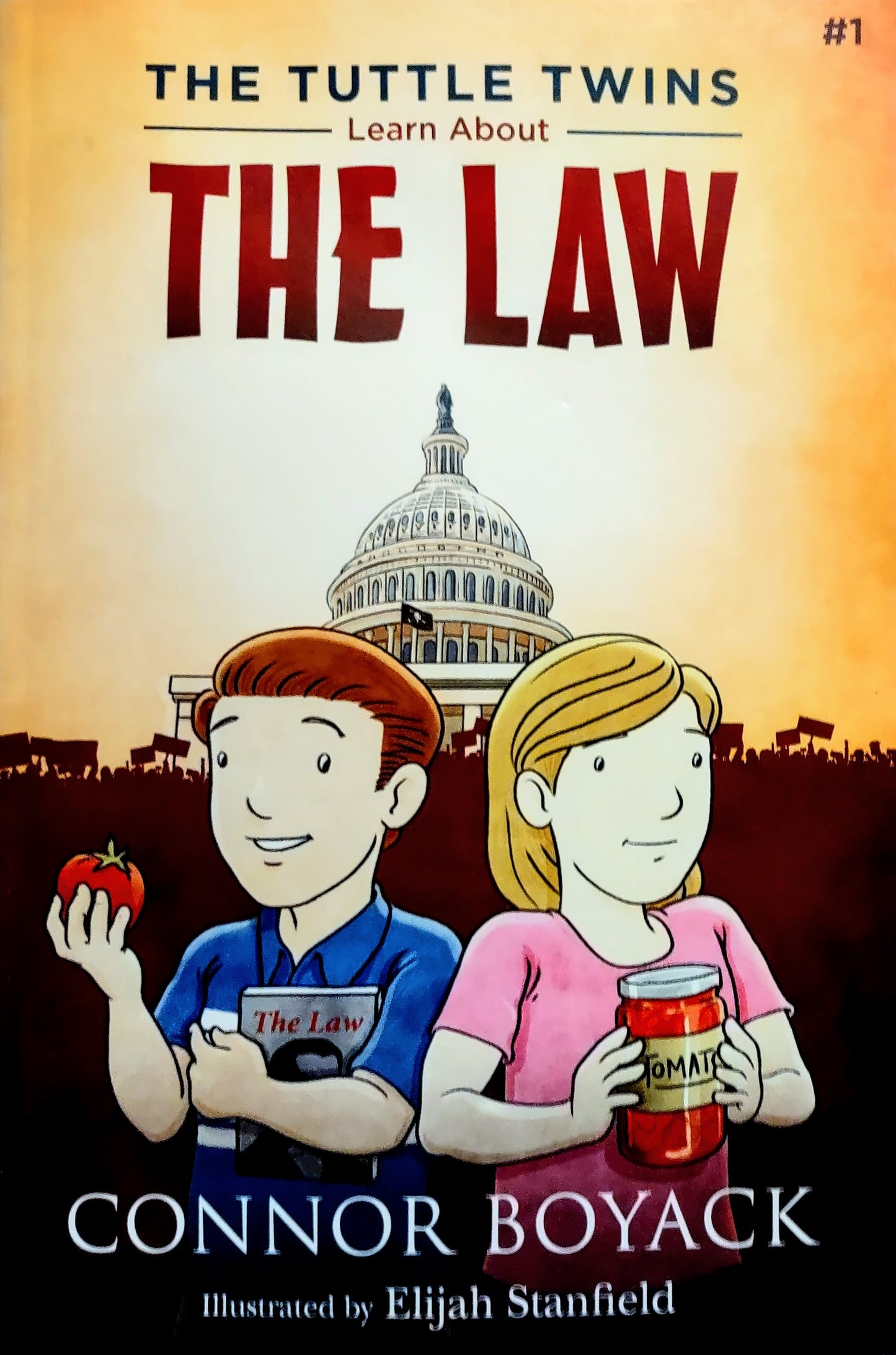 Book cover of 'The Tuttle Twins Learn About The Law' with two cartoon characters and the U.S. Capitol building.