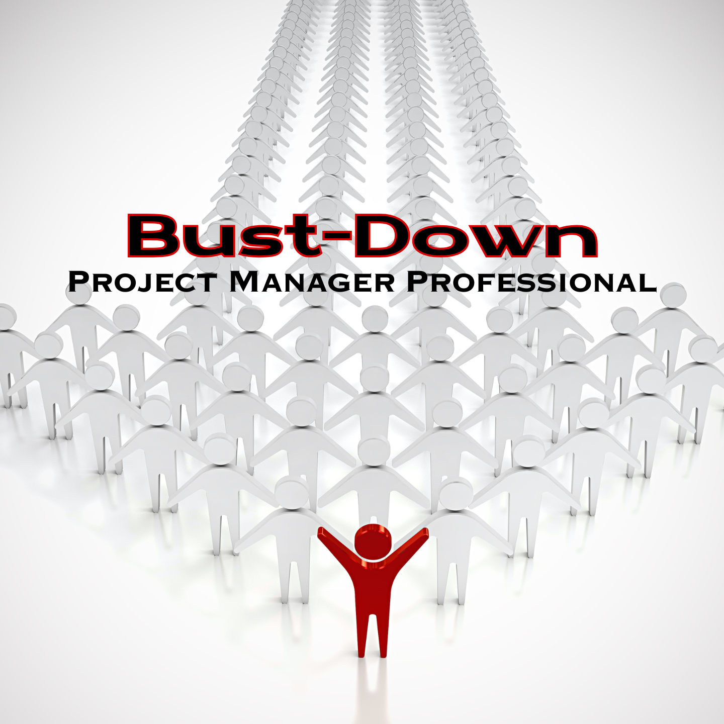 Project Manager Professional