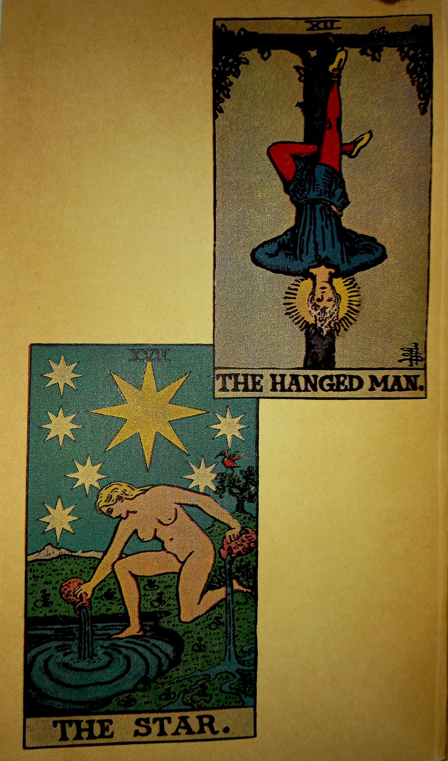 The Tarot Revealed by Eden Grey