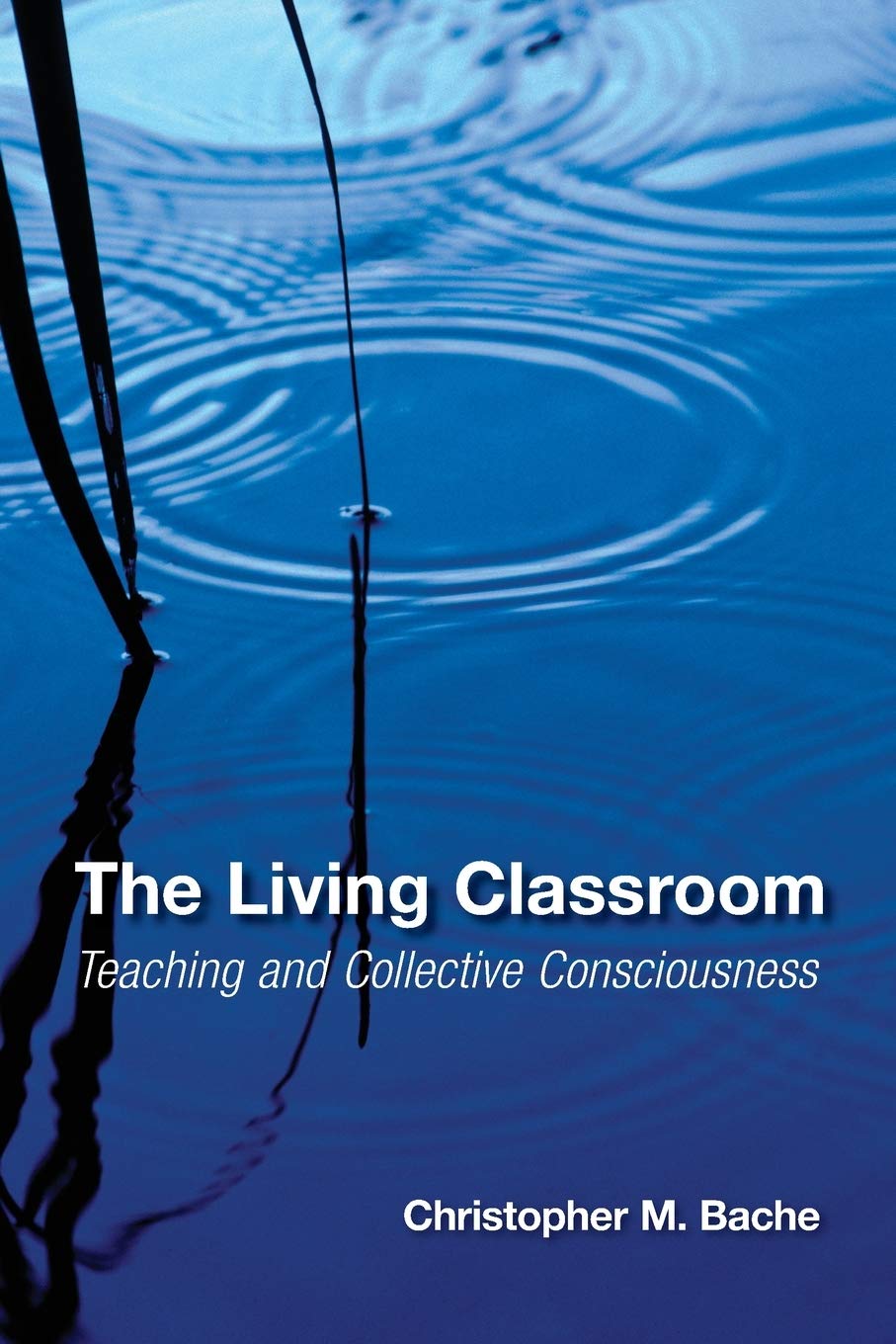 The Living Classroom by Christopher Bache