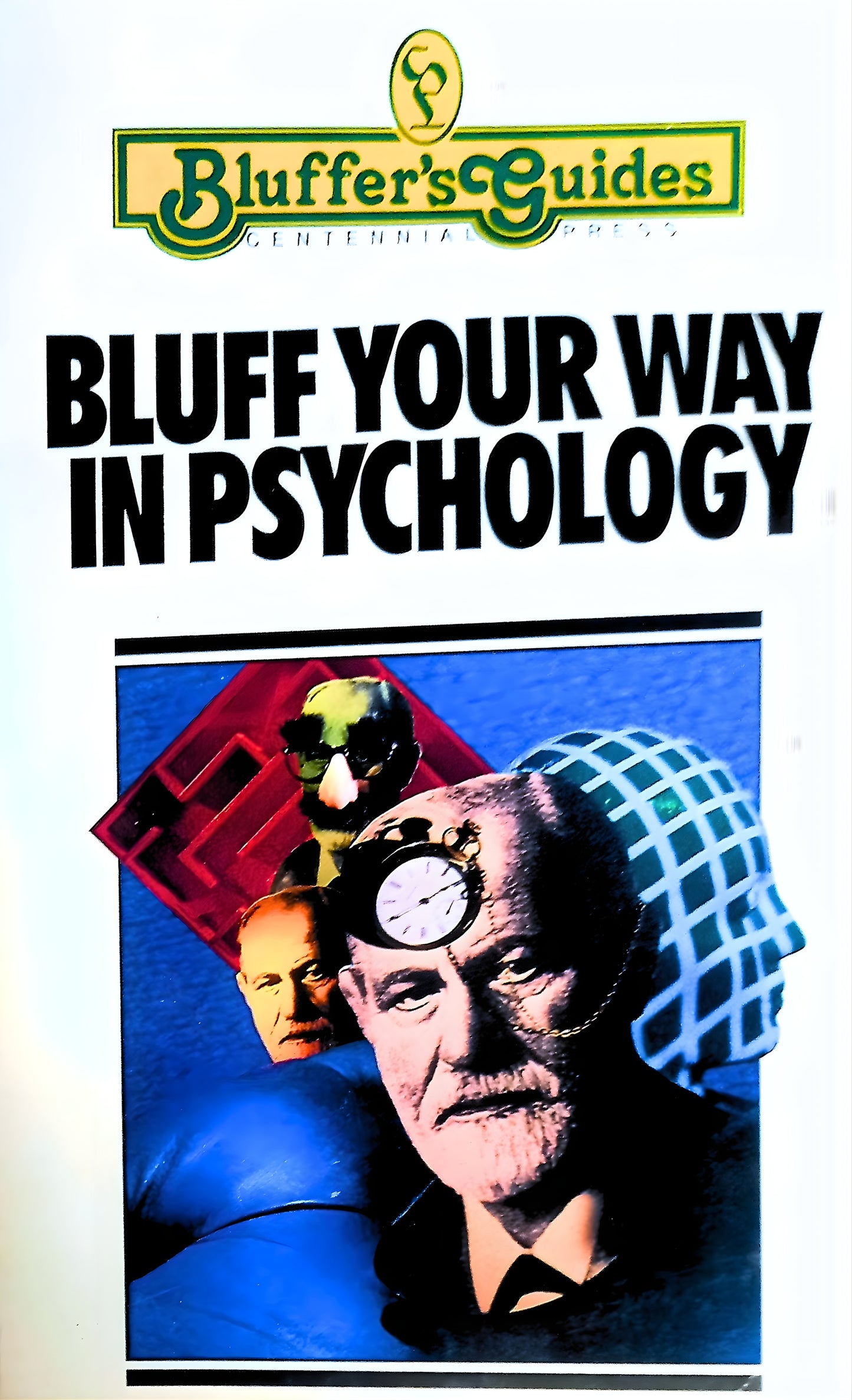 Bluff Your Way in Psychology by Richard Goldfarb