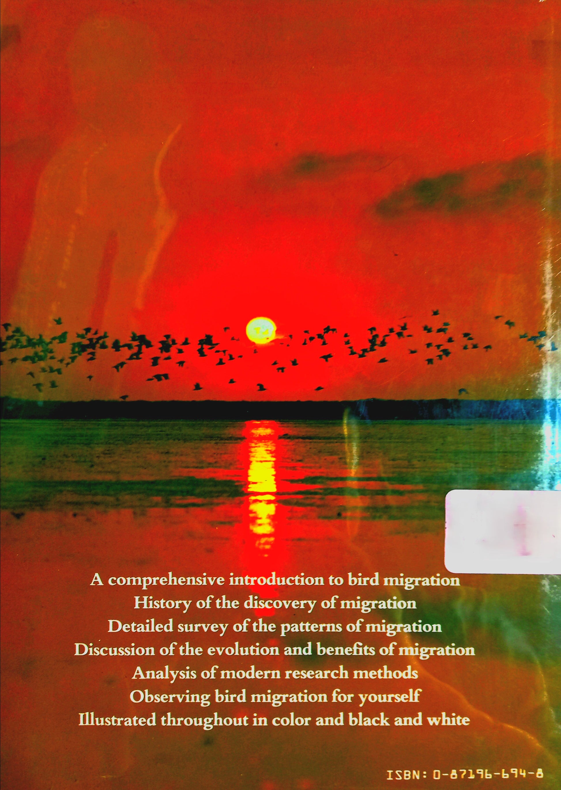 Book back cover of the book 'Bird Migration' by Chris Mead, featuring description of the book with a sunset image of birds in flight over a grassy landscape.