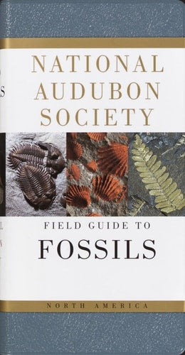 National Audubon Society: Field Guide to North American Fossils | Ida Thompson