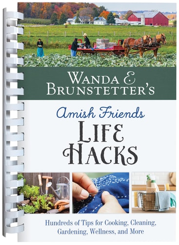 Wanda E. Brunstetter's Amish Friends: Life Hacks Hundreds of Tips for Cooking, Cleaning, Gardening, Wellness, and More