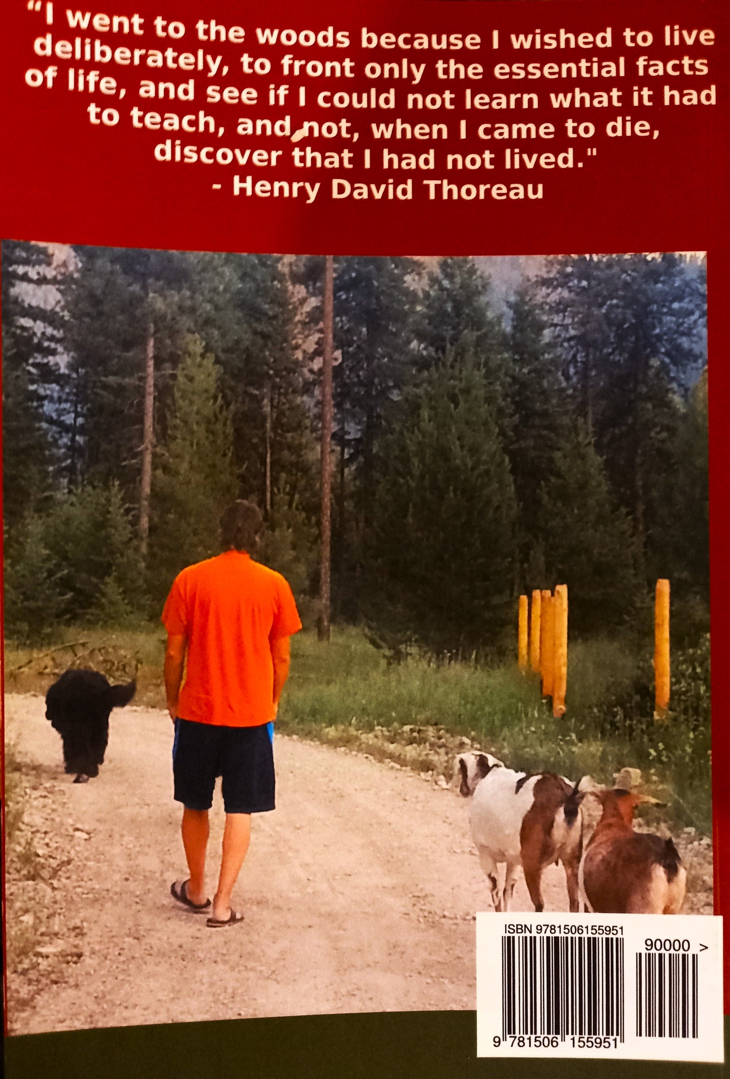 Montana Homestead: How I Built My Bugout Homestead Off Grid in the Wilderness by Gordon Blaine