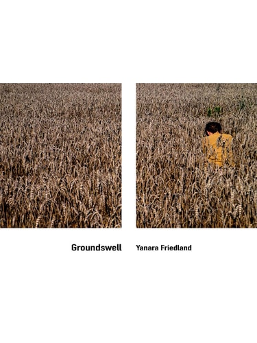 Groundswell by Yanara Friedland