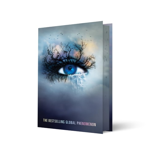 Book cover with an eye design and text 'The Bestselling Global Phenomenon' on a white background