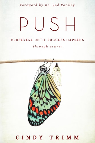Push: Persevere Until Success Happens Through Prayer | Cindy Trimm