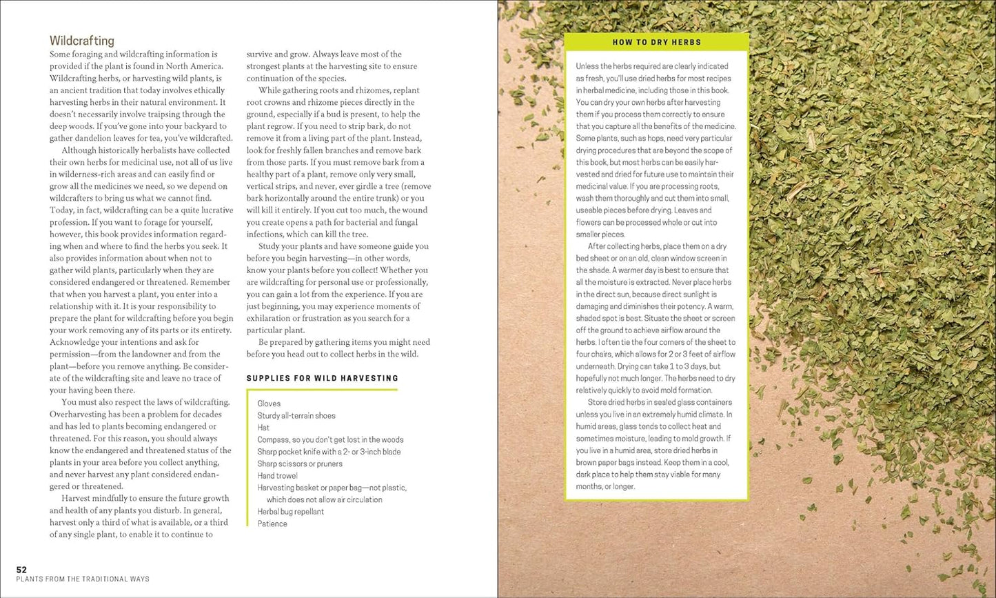 The Herbal Apothecary: 100 Medicinal Herbs and How to Use Them by Dr. JJ Pursell