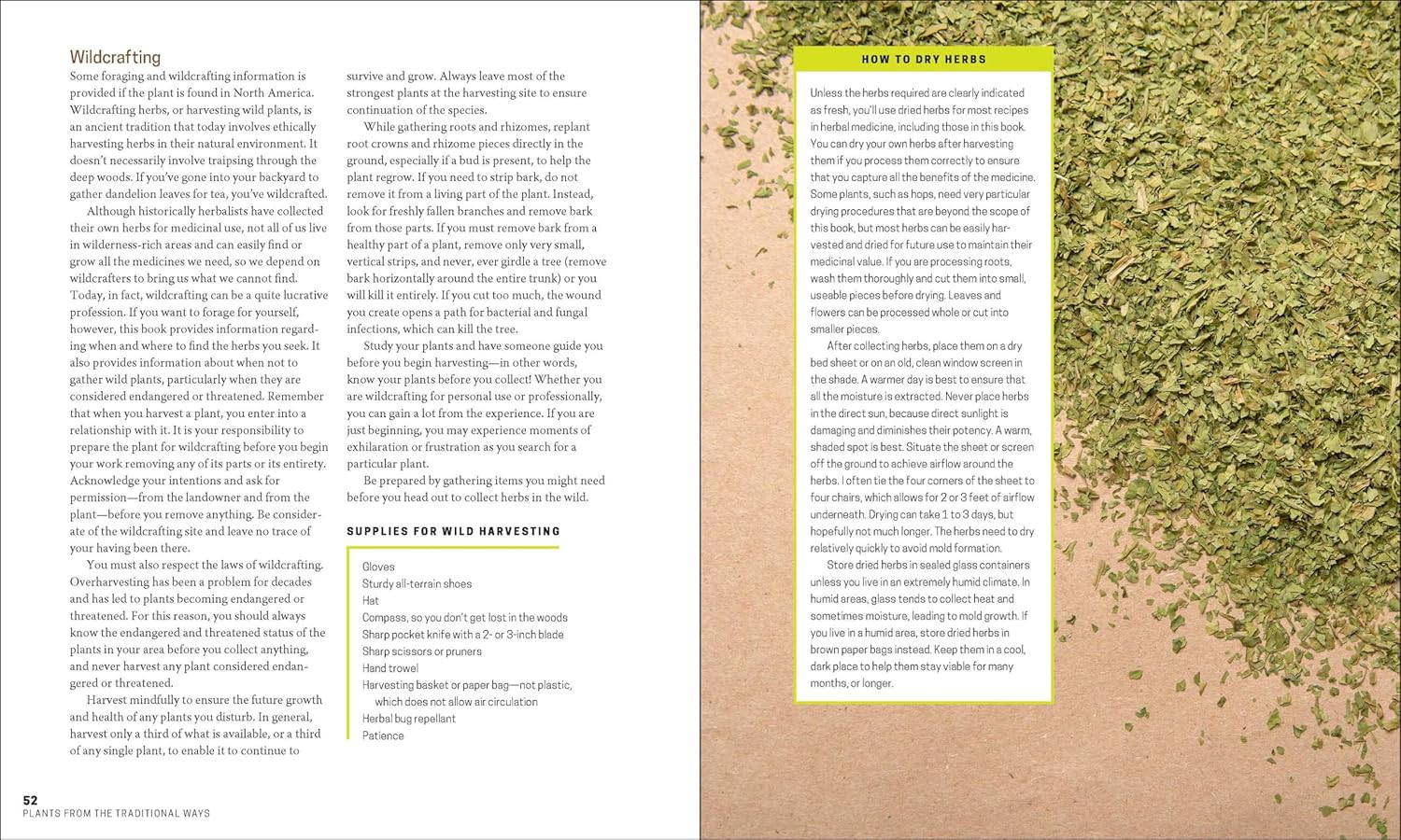 The Herbal Apothecary: 100 Medicinal Herbs and How to Use Them by Dr. JJ Pursell