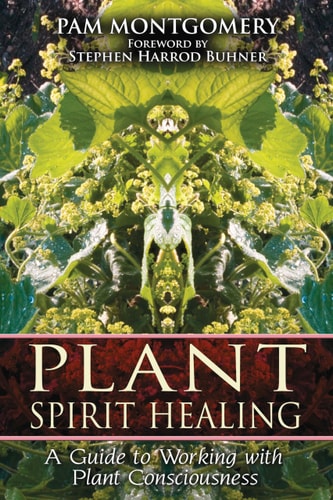 Book cover of 'Plant Spirit Healing' with a green leafy design and text.