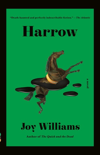Harrow: A Novel by Joy Williams | A Kirkus Prize Winner for Fiction