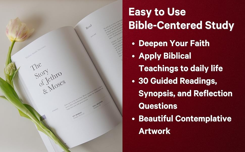 The Good and Beautiful Bible Study by Alabaster Co.