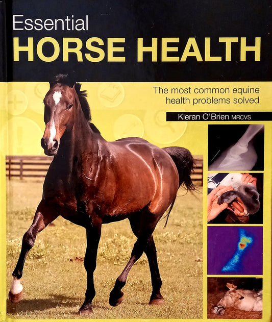 Essential Horse Health: The Most Common Equine Health Problems Solved