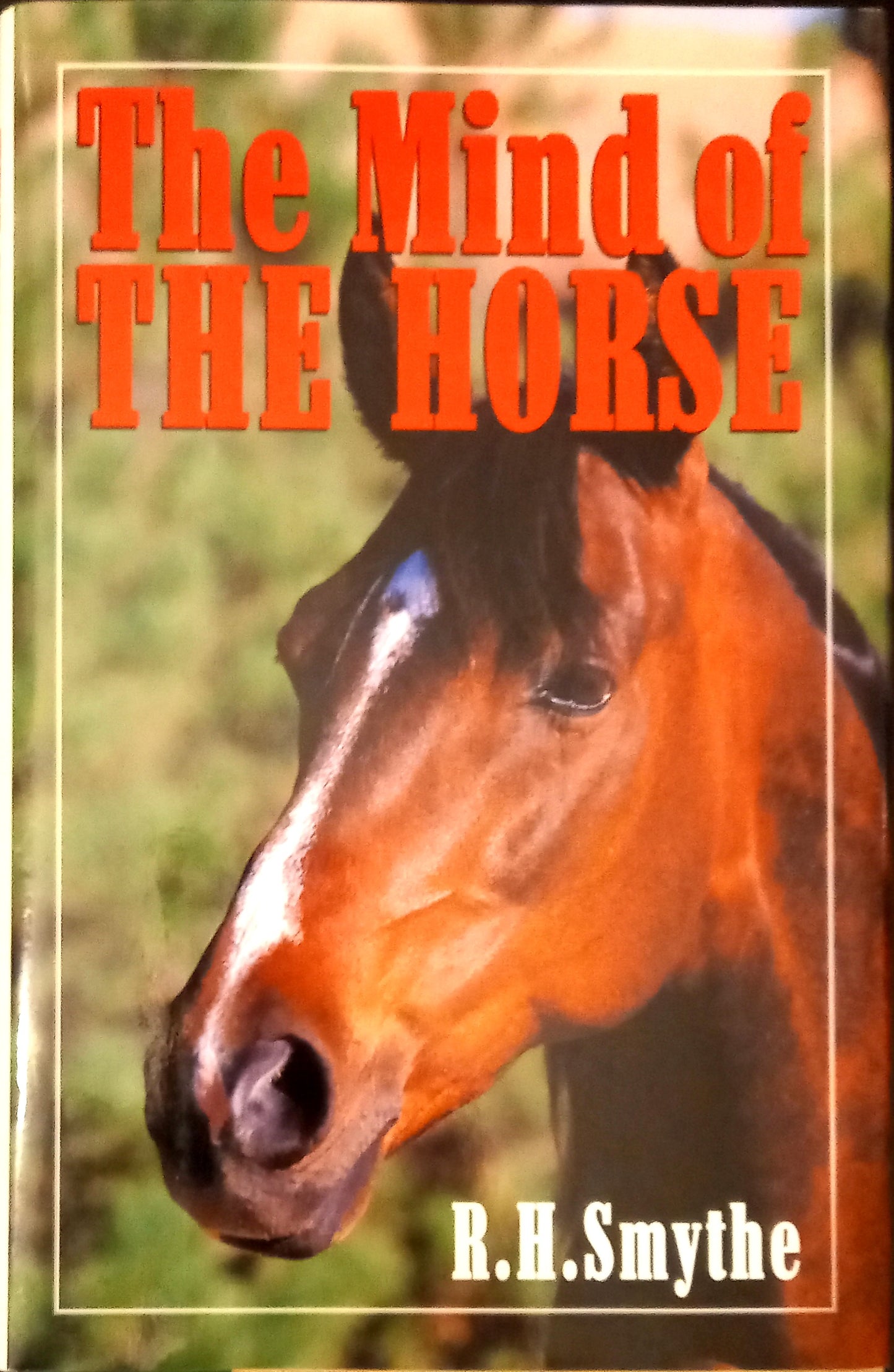 The Mind of the Horse