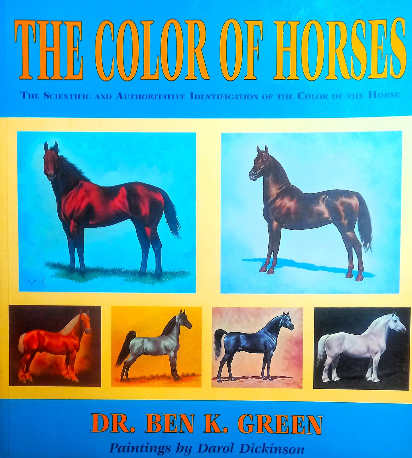The Color of Horses