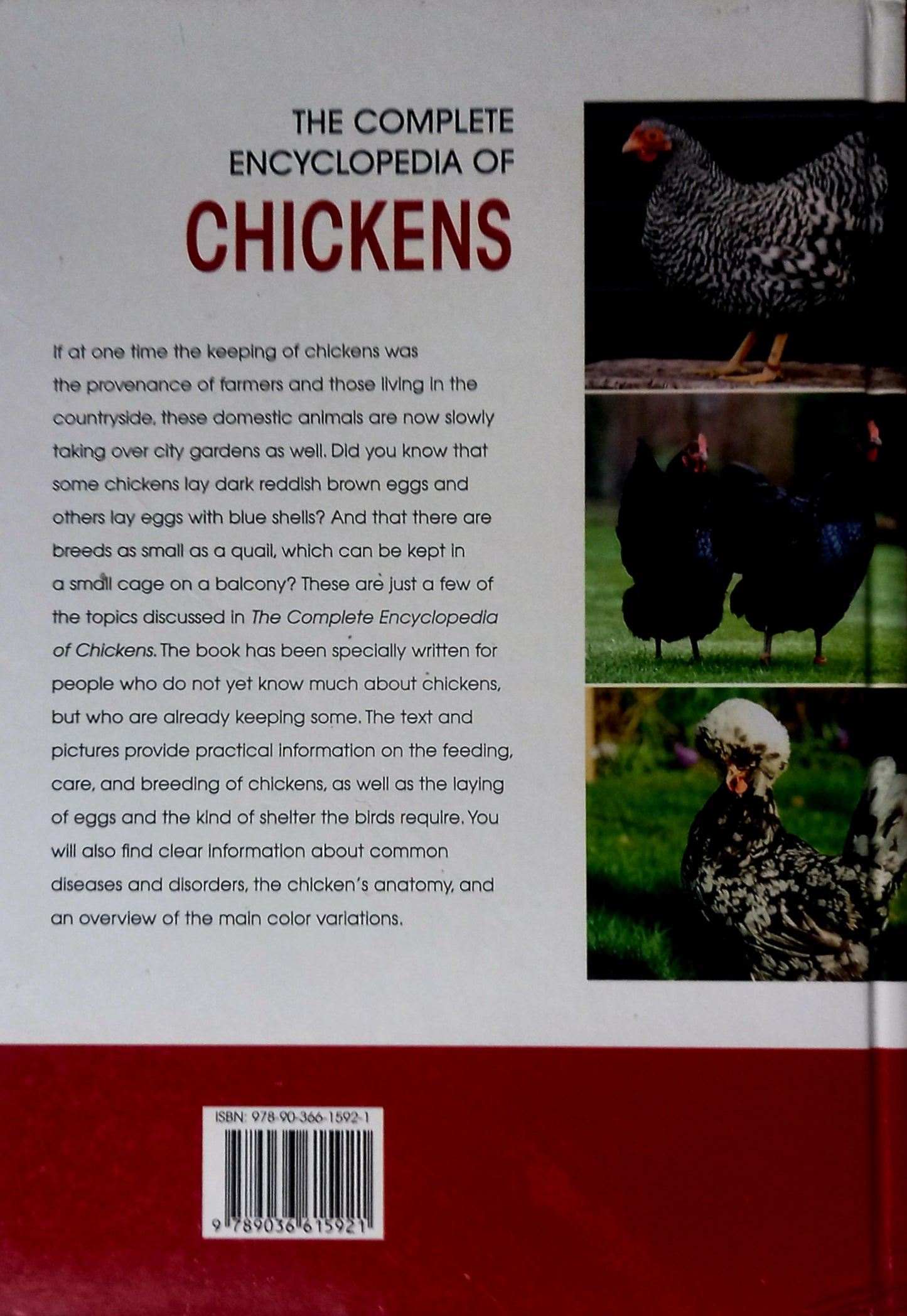 The Complete Encyclopedia of Chickens